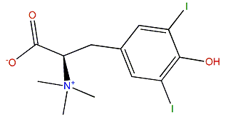 Purpuroine G